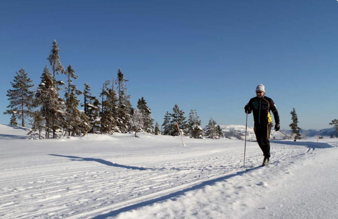 Norbel Hytte Norway Врадал Экстерьер фото
